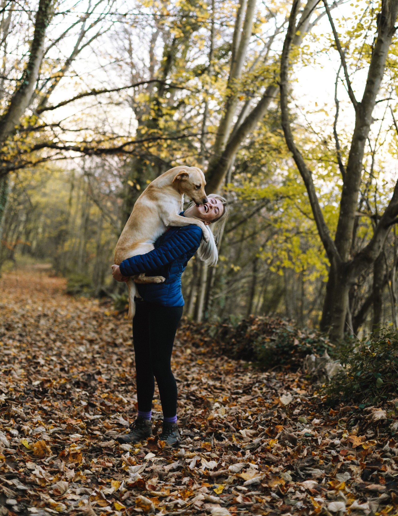 Pet Loans